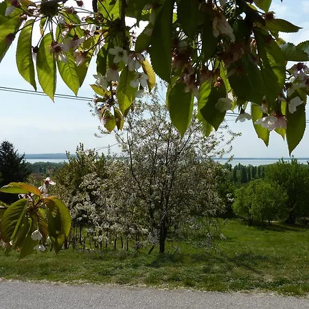 Πανσιόν Panorama *