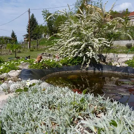 بيت ضيافة Panorama *